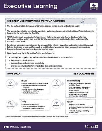 Using the VUCA Approach